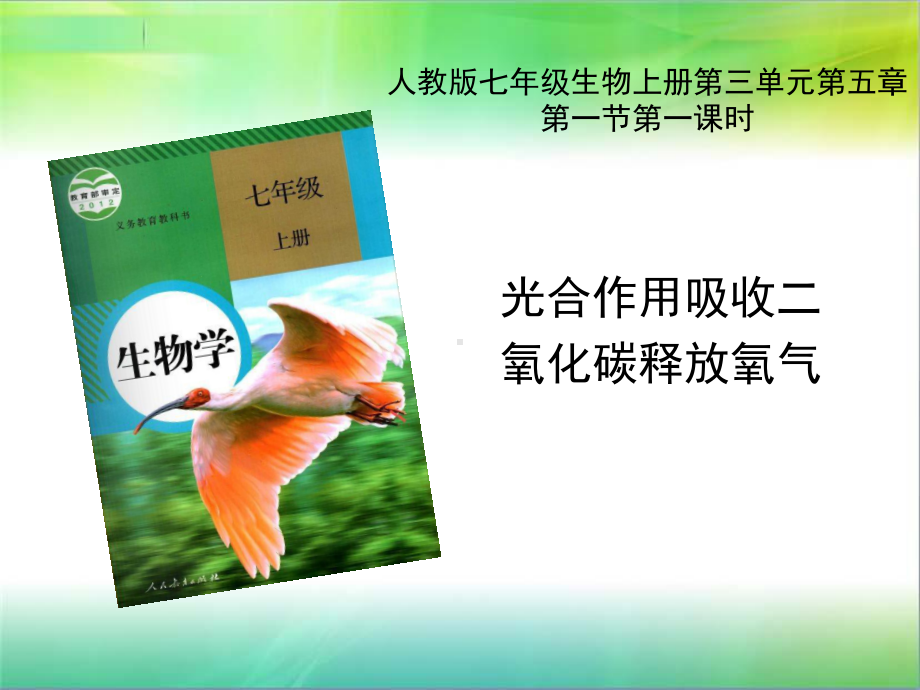 《第一节-光合作用吸收二氧化碳释放氧气》PPT课件.ppt_第1页