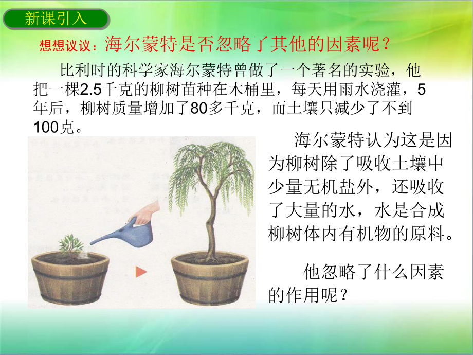 《第一节-光合作用吸收二氧化碳释放氧气》PPT课件.ppt_第3页