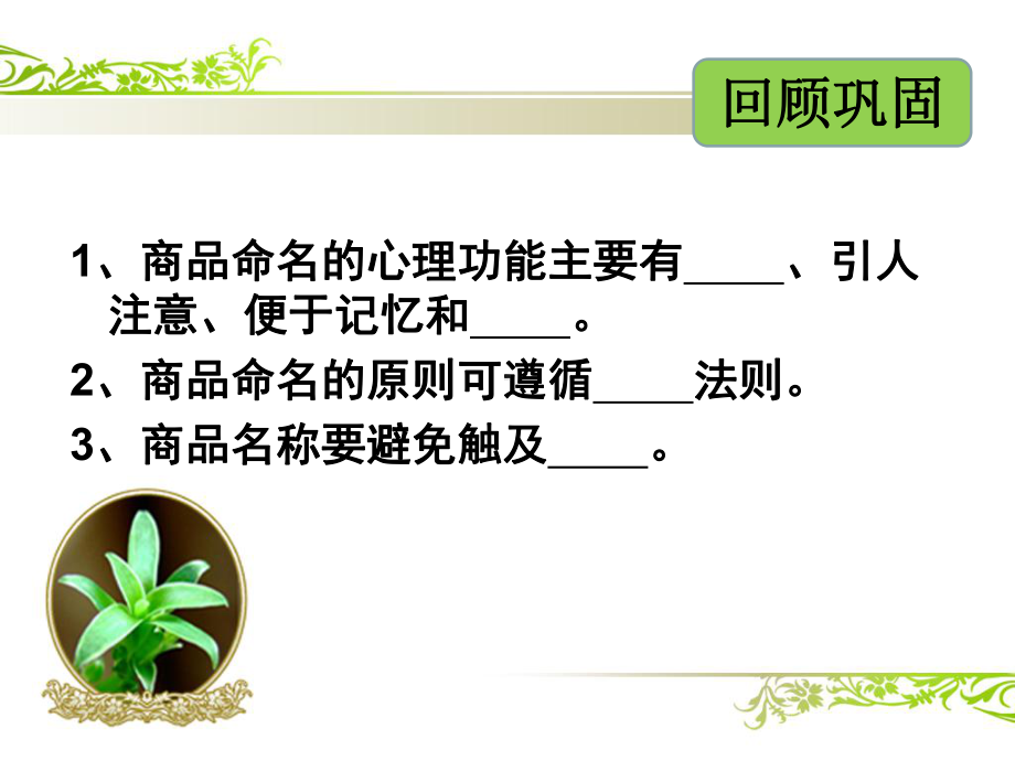 商品命名的方法与心理策略课件.ppt_第2页