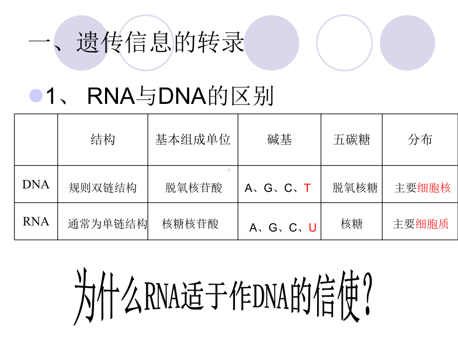 第一节基因指导蛋白质合成(第一课时)课件.ppt_第2页