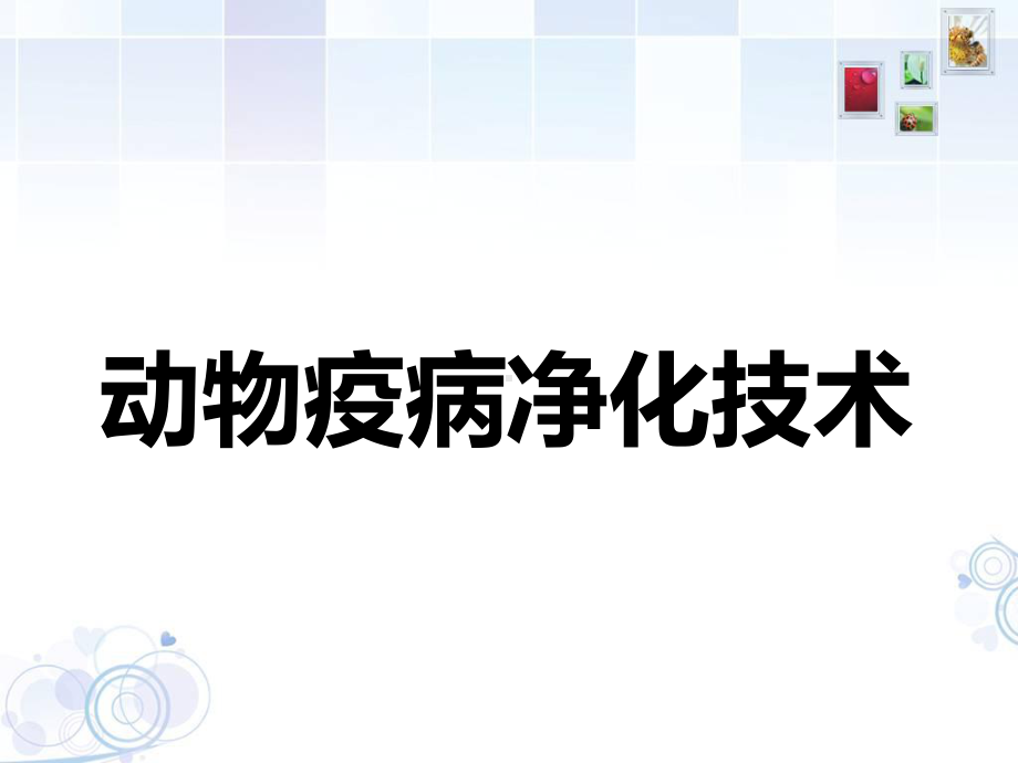 动物疫病净化技术课件.ppt_第1页