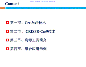 CreloxPCRISPRCas技术和病毒载体在课件.ppt