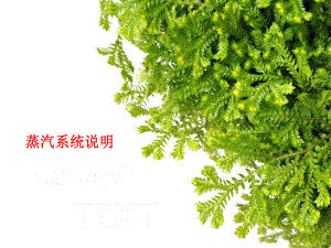 蒸汽系统说明课件.ppt