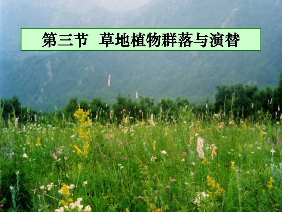 草地学第二章草地生态学基础2课件.ppt_第1页