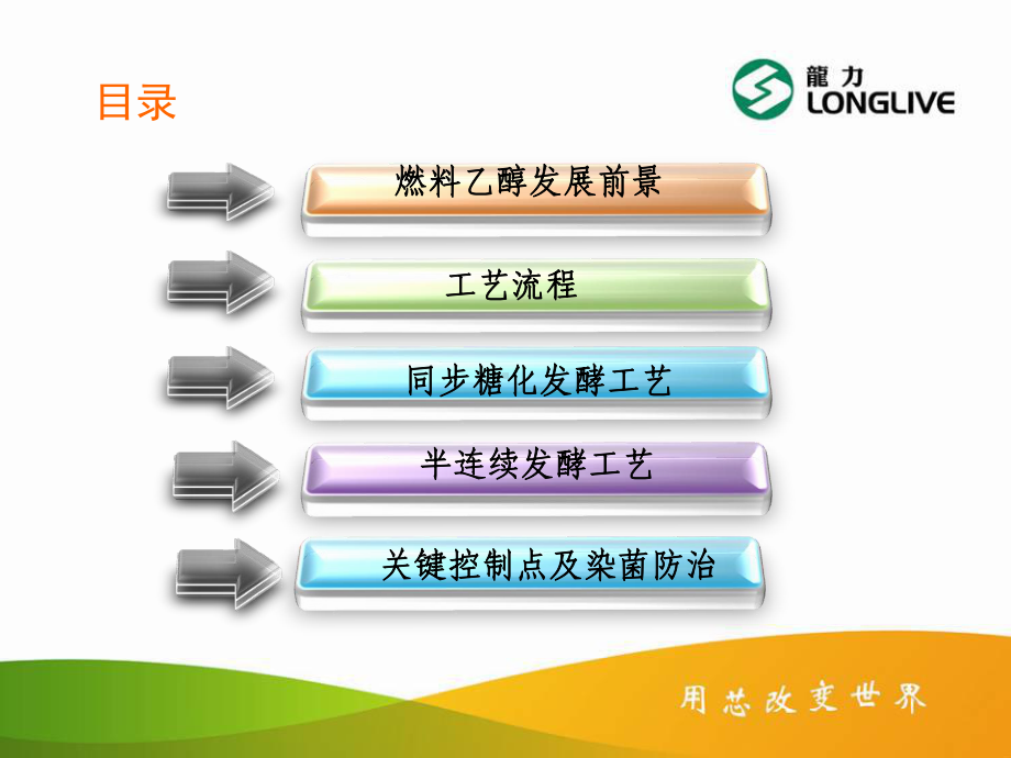 纤维素燃料乙醇同步糖化发酵工艺课件.ppt_第3页