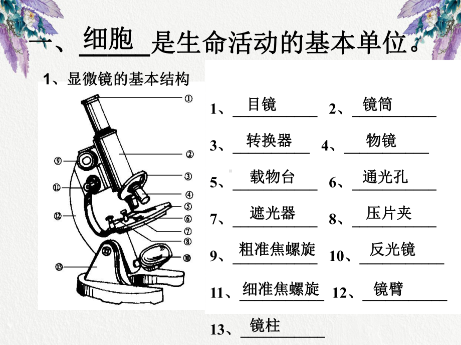 初中生物会考复习资料.ppt课件.ppt_第2页