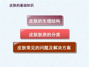 皮肤的基础知识课件.ppt