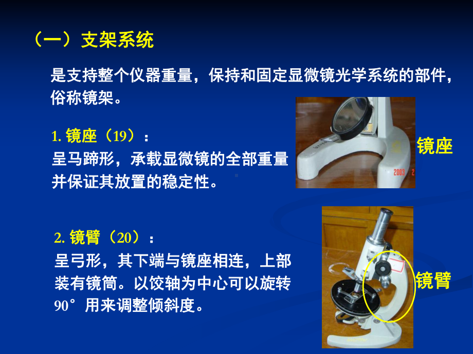 偏光显微镜的构造调节和使用课件.ppt_第3页