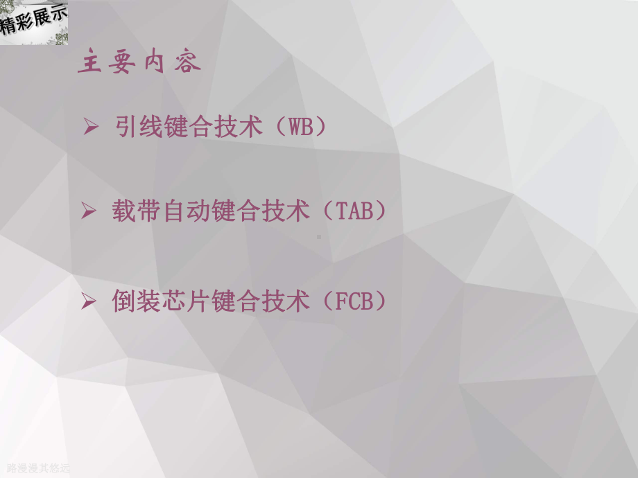 芯片互连技术讲义课件.ppt_第3页