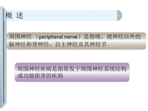 周围神经疾病课件.pptx