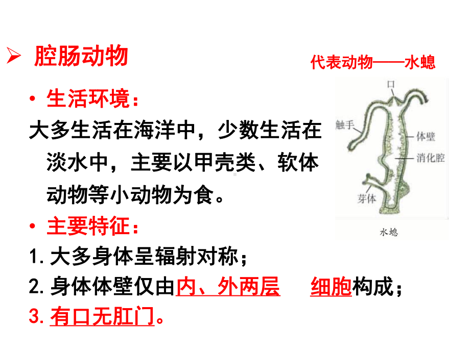 七年级生物上册-2.2.1-无脊椎动物的主要类群课件.ppt_第3页