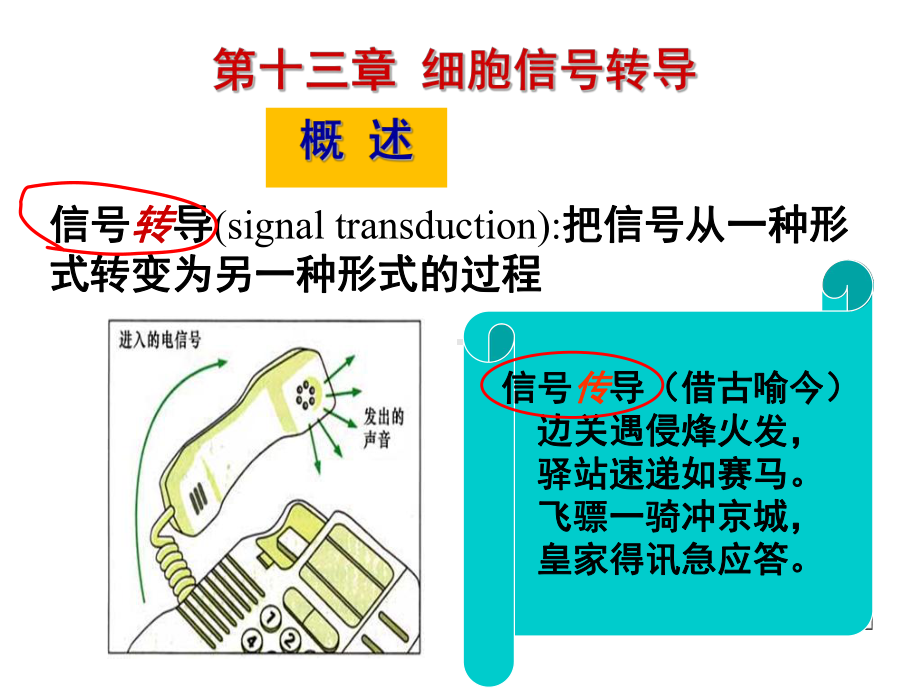 受体酪氨酸激酶通路课件.ppt_第1页