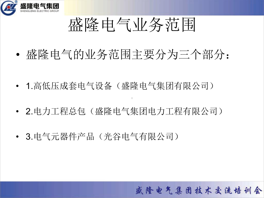 精选盛隆电气业务范围培训资料课件.ppt_第2页