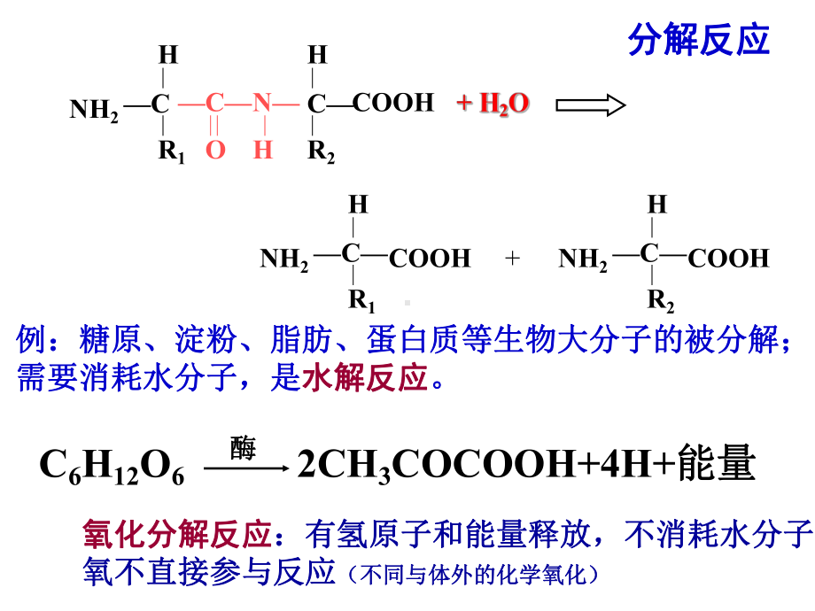 生命的物质变化和能量转换(学生版).课件.ppt_第3页