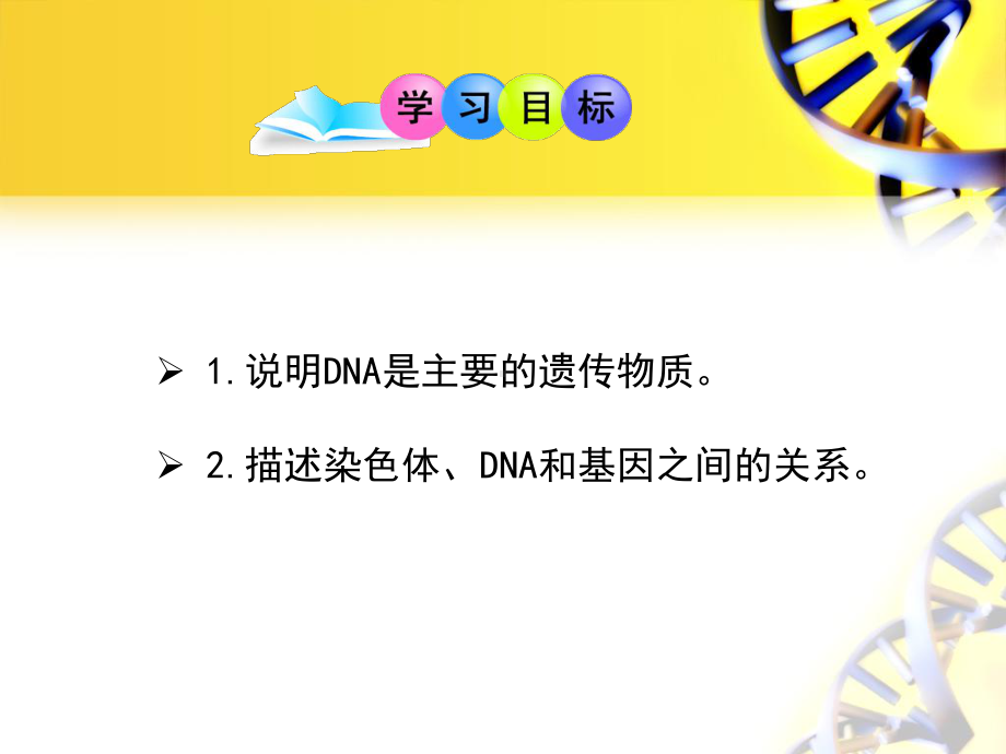 DNA是主要的遗传物质ppt104-苏教版课件.ppt_第2页