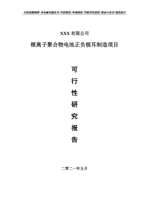 锂离子聚合物电池正负极耳制造项目可行性研究报告申请建议书.doc