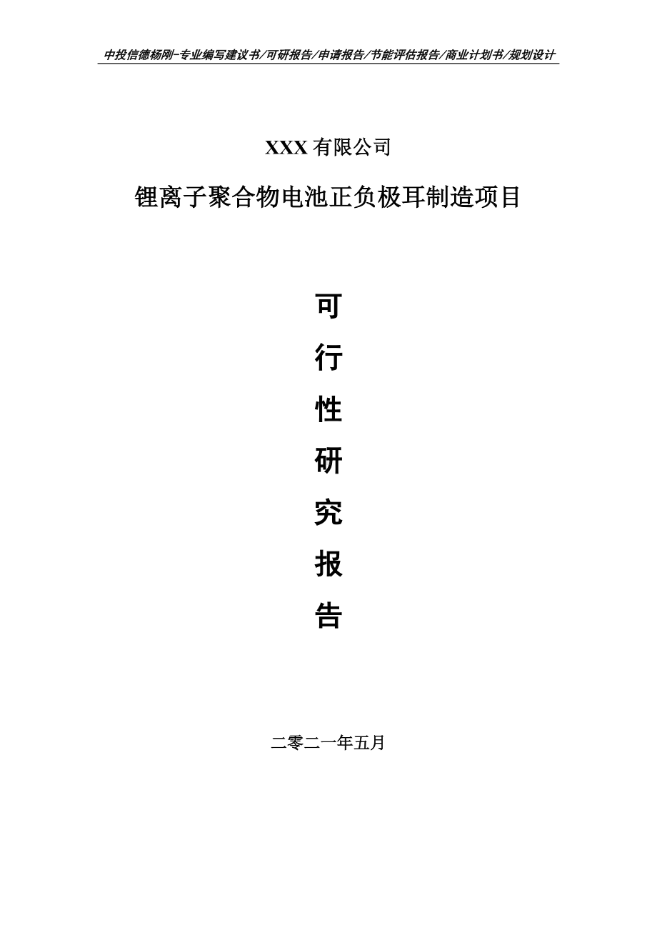 锂离子聚合物电池正负极耳制造项目可行性研究报告申请建议书.doc_第1页