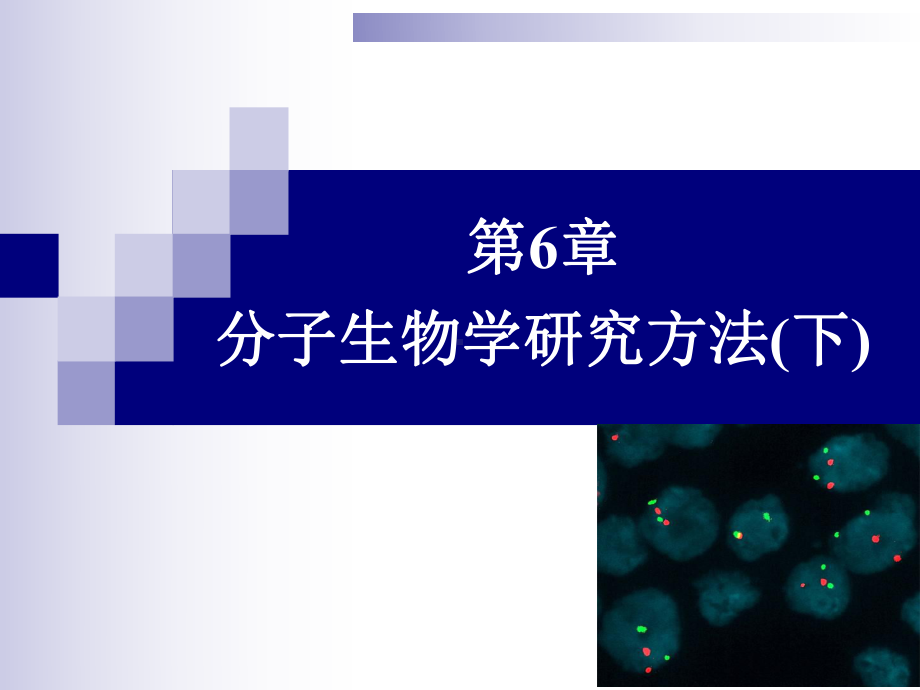 经典：第6章-分子生物学研究方法(下)课件.ppt_第1页