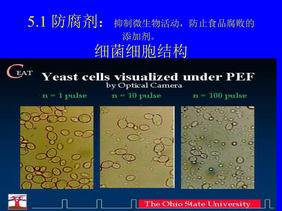 精细化工工艺学—第五章食品添加剂资料课件.ppt_第3页