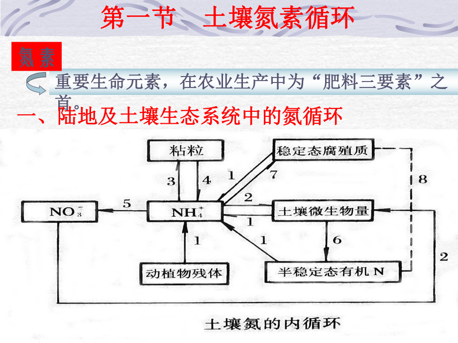 土壤养分循环课件.ppt_第2页