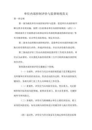 XX内部控制监督与评价范文.docx