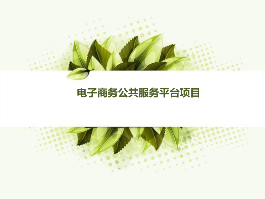 电子商务公共服务平台项目介绍演示文稿课件.ppt_第1页