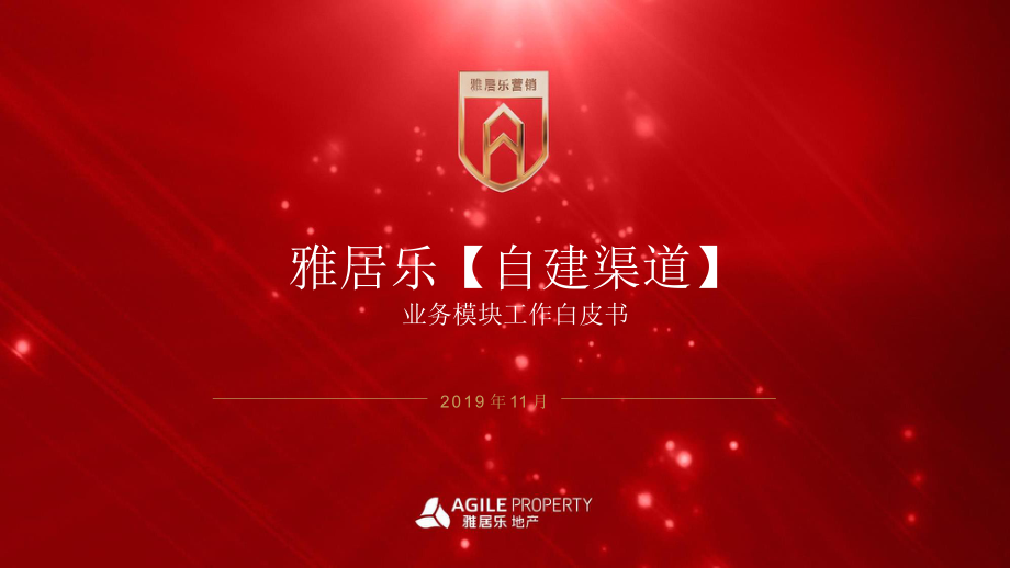 雅居乐自建渠道业务模块工作白皮书课件.pptx_第1页