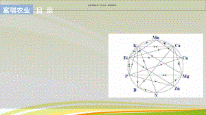 营养元素之间的拮抗和协同作用课件.ppt