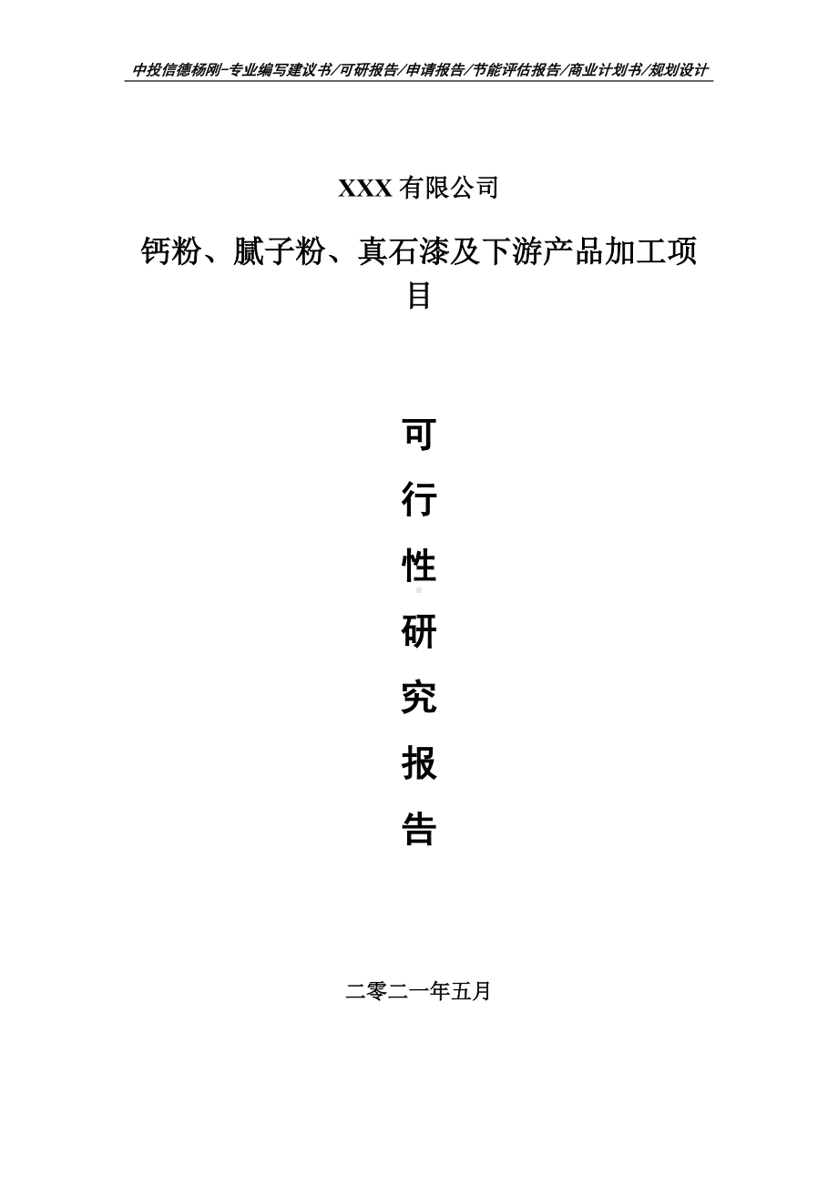 钙粉、腻子粉、真石漆及下游产品加工项目可行性研究报告建议书案例.doc_第1页