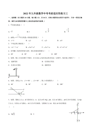 2022年无锡地区九年级数学中考考前适应性练习三.docx