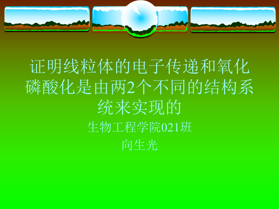 证明线粒体的电子传递和氧化磷酸化是由两2个不同的课件.ppt_第1页