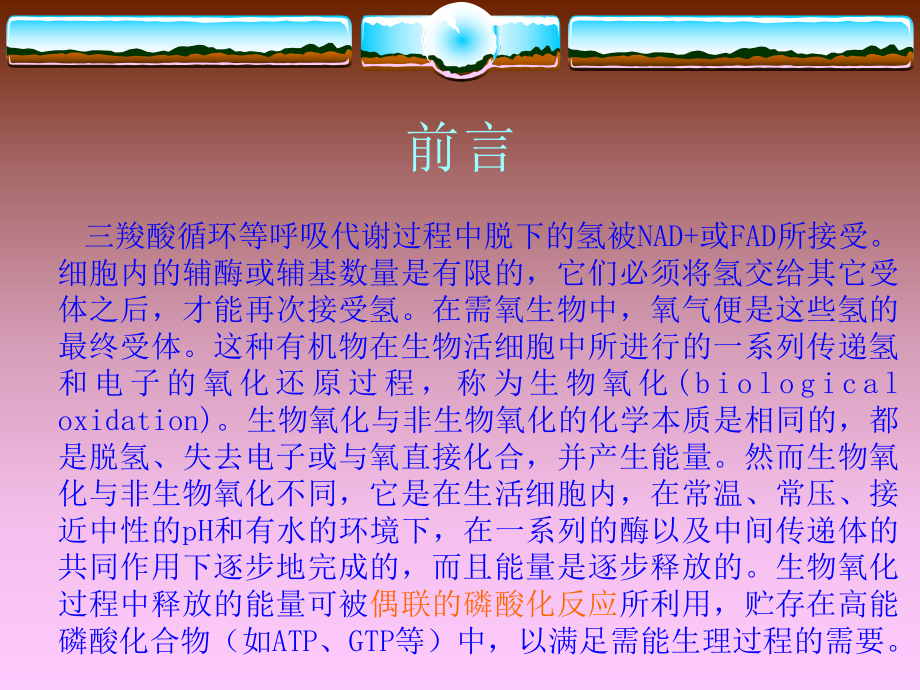 证明线粒体的电子传递和氧化磷酸化是由两2个不同的课件.ppt_第2页