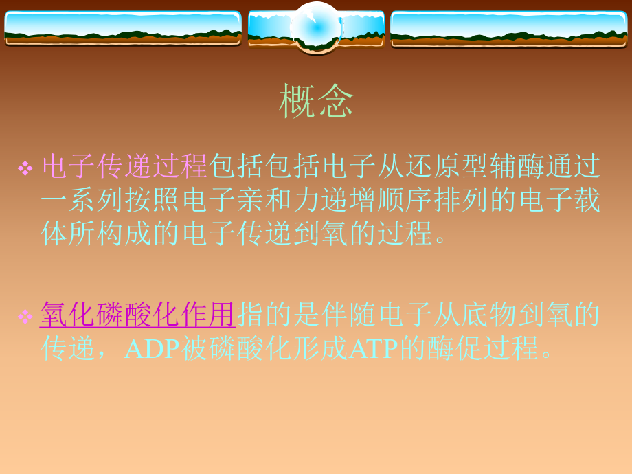 证明线粒体的电子传递和氧化磷酸化是由两2个不同的课件.ppt_第3页