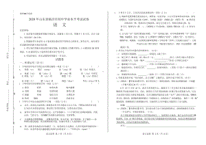 2020年山东省临沂中考语文试卷附真卷答案.docx