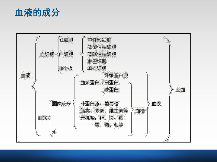 常用血液分析指标课件.ppt_第2页