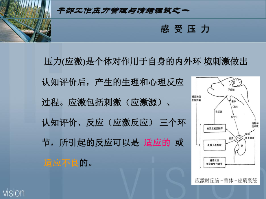 干部工作压力管理与情绪调适培训教材课件.ppt_第2页