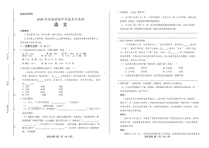 2020年河南省中考语文试卷附真卷答案.docx