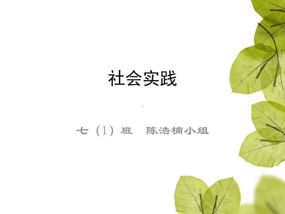 社会实践辰山植物园课件.ppt_第1页