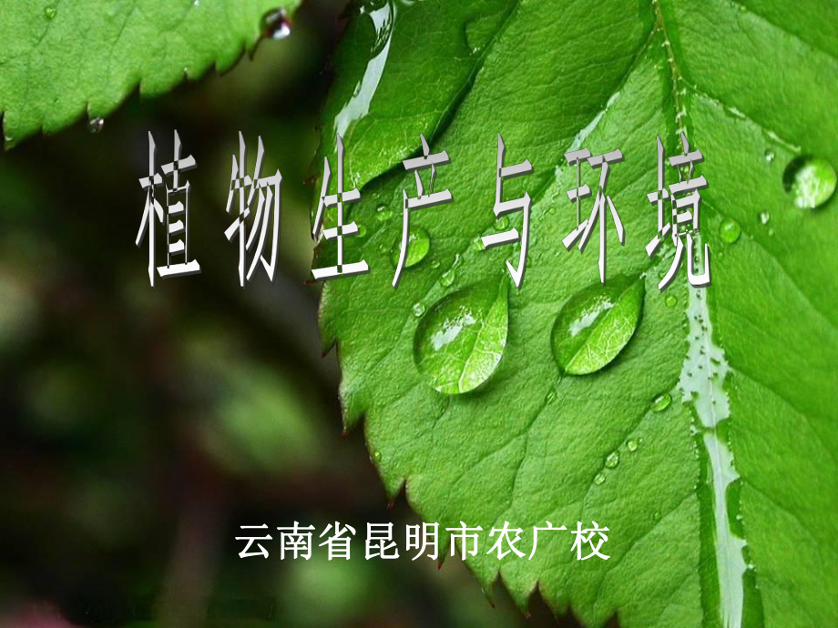 植物必需营养元素课件.ppt_第1页