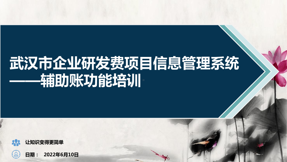 武汉市企业研发费项目信息管理系统-辅助账功能课件.pptx_第1页