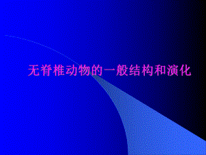 无脊椎动物的一般结构和进化课件.ppt