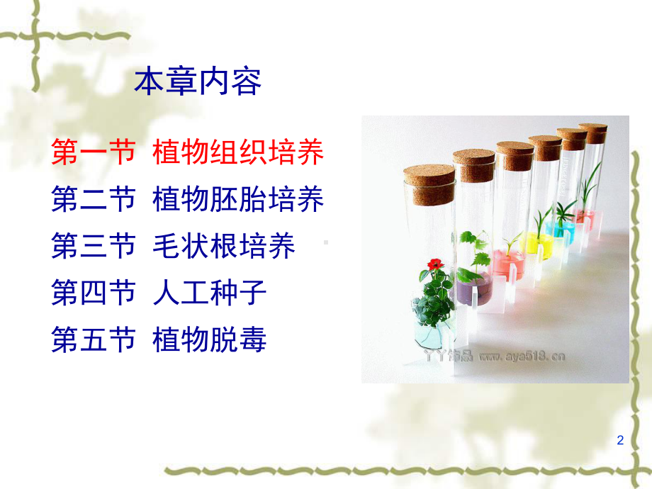 植物组织与细胞培养课件.ppt_第2页