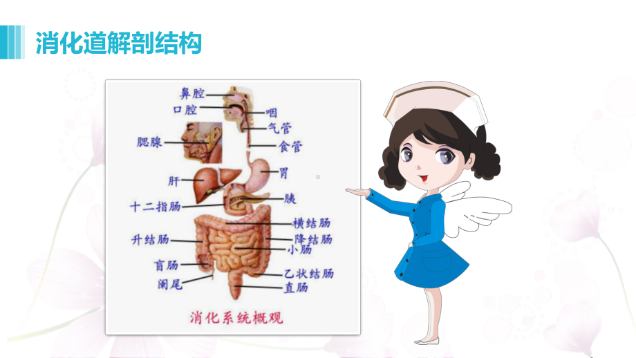 图文医院医疗便秘的护理动态ppt模板.pptx_第3页