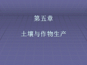 土壤质地与土壤肥力的关系砂土类课件.ppt