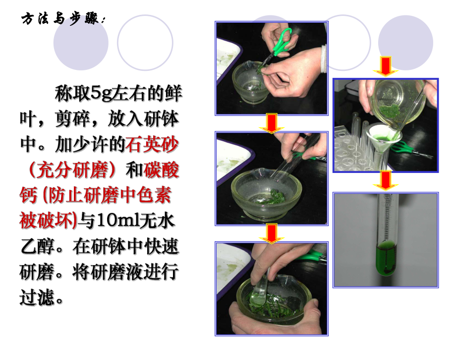 影响光合作用的因素CO2课件.ppt_第3页