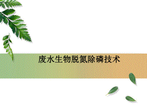 好氧活性污泥法脱氮系统AO工艺课件.ppt