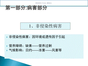 柑橘病虫害识别图谱课件.ppt