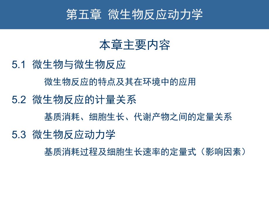 微生物反应动力学0924课件.ppt_第2页