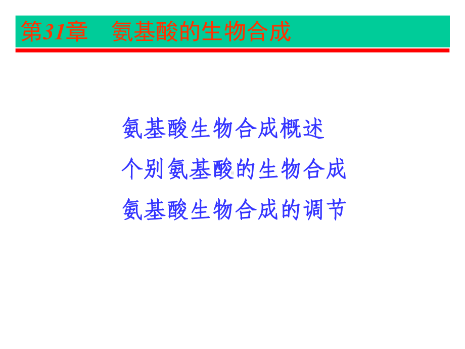 第31章氨基酸的生物合成课件.ppt_第2页