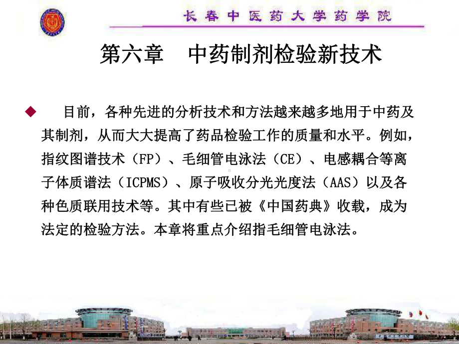 毛细管电泳法课件.ppt_第1页